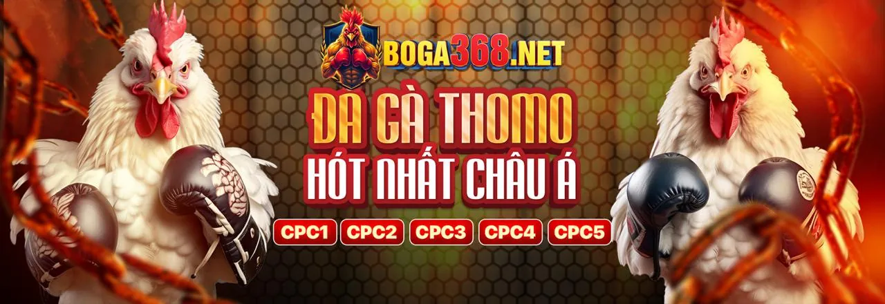 Chương trình thành viên VIP độc quyền của vn58 trang chủ chính thức