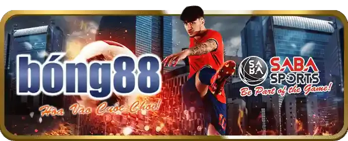 Giải đấu đá gà Thomo